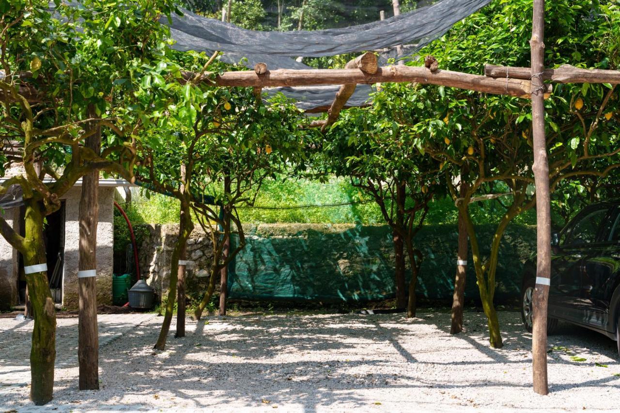 Montagnella Relax Bed & Breakfast Maiori Bagian luar foto
